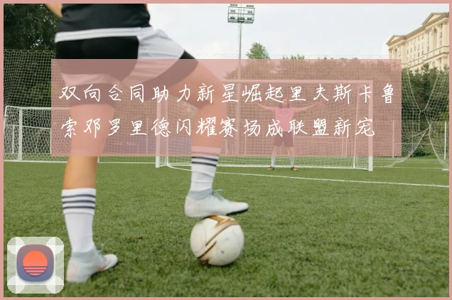 双向合同助力新星崛起里夫斯卡鲁索邓罗里德闪耀赛场成联盟新宠
